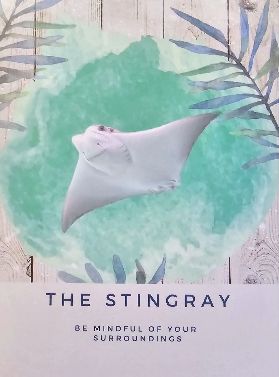 Oracle for the Week of 1 October 2023 - the Stingray